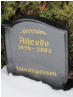 Dembny, Alfredo * 1926, + 2003   Dembny, Dorothea * 1914, + 2002   Dembny, Friederike * k.A., + k.A.   Dembny, Karl * k.A., + k.A.   Dembny, Lilo * 1920, + 2004 