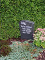 Beutner Marie* 1905 + 1990 ; Else Utecht* 1904 + 1993