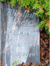 Wiestaw Piotr Surosz* 23.02.1948 + 31.08.2010
