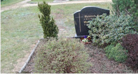 Brauer Heinrich* 19.11.1929 -